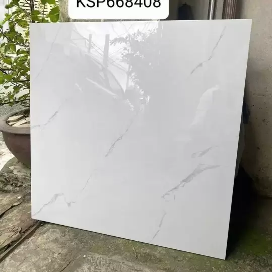 Mẫu 15