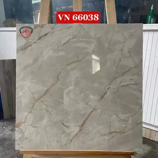 Mẫu 19