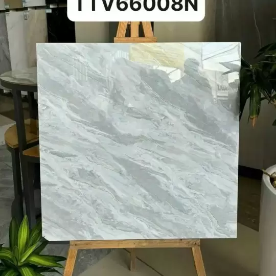 Mẫu 21