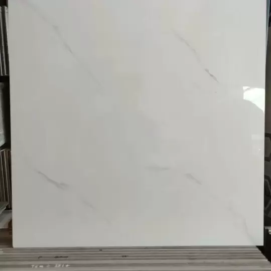 Mẫu 22