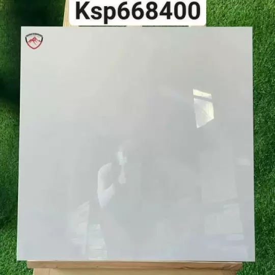 Mẫu 23