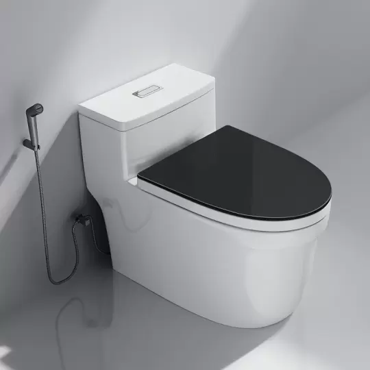 Bồn cầu Mchenler M70R