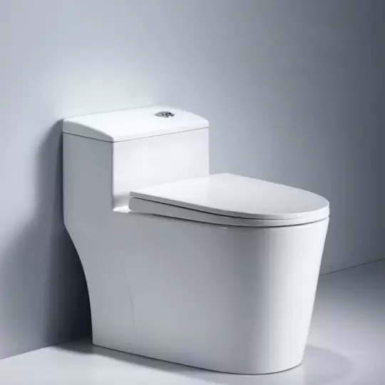 Bồn cầu một khối AQ-2032