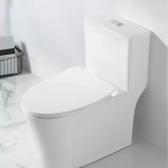 Bồn cầu 1 khối KL-66508