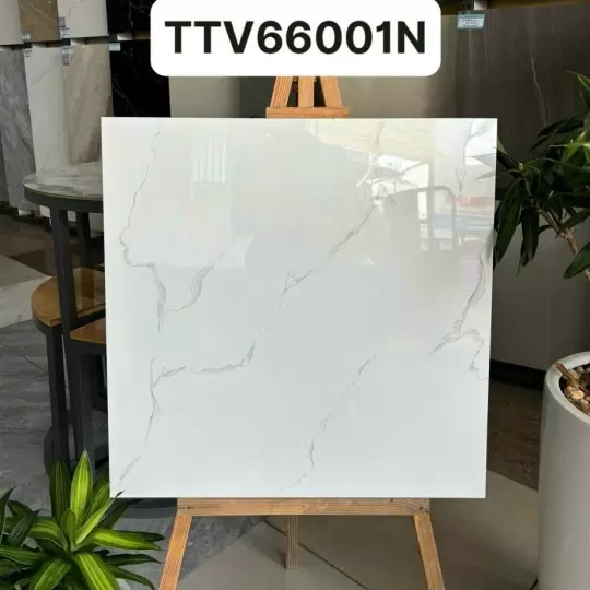 Đá 60x60 mẫu 3