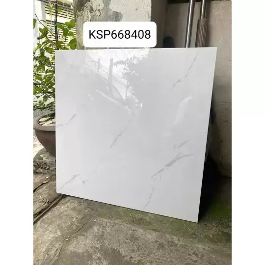 Mẫu 15