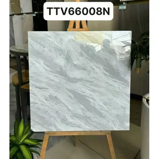 Mẫu 21