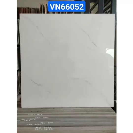 Mẫu 22