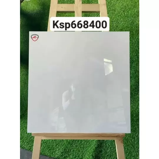 Mẫu 23