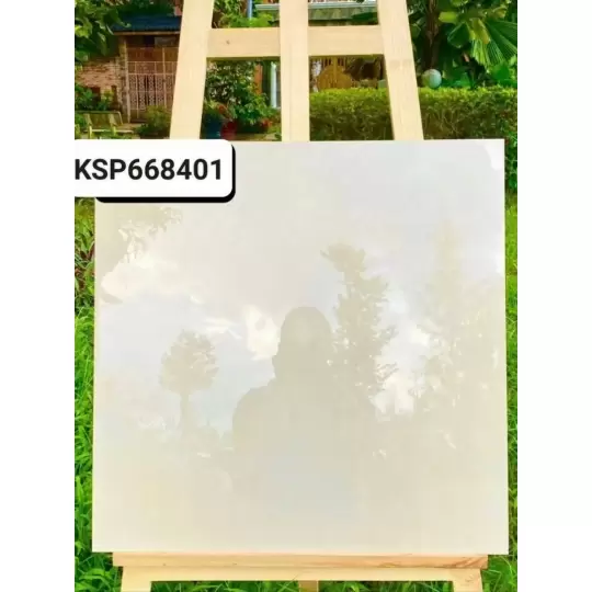 Mẫu 25