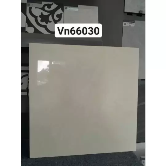 Mẫu 5