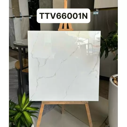 Đá 60x60 mẫu 3
